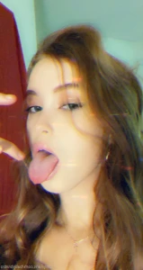 16077815