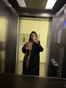 10679051