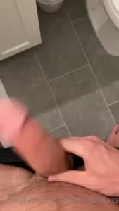 18341520