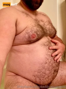 15647498