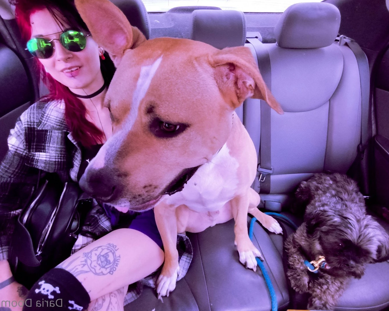 😈sexy satanic smut w/ kinky goth kitty☠️ [ dariadoom ] Onlyfans leaked photo 2299737 on Hotleaks.tv
