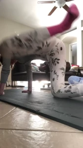 𝙀𝙚𝙫𝙚𝙚 &amp; 𝙂𝙞𝙣𝙜𝙚𝙧 💕 [ eevee_bee ] Onlyfans leaked video 10677698 on Hotleaks.tv