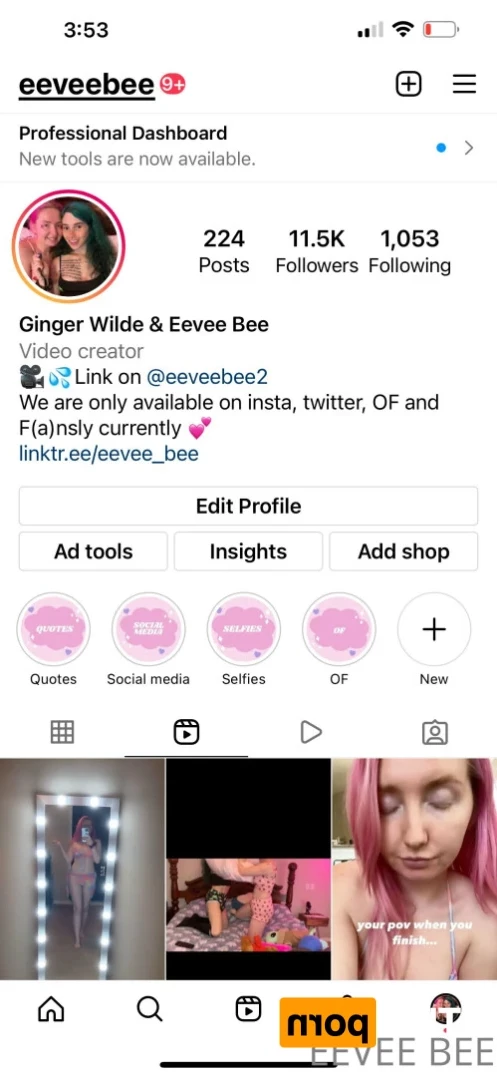 𝙀𝙚𝙫𝙚𝙚 &amp; 𝙂𝙞𝙣𝙜𝙚𝙧 💕 [ eevee_bee ] Onlyfans leaked photo 15418049 on Hotleaks.tv