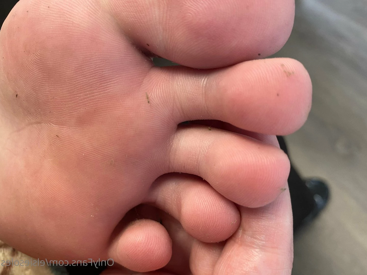 Elsie Soles [ elsiesoles ] Onlyfans leaked photo 2307178 on Hotleaks.tv