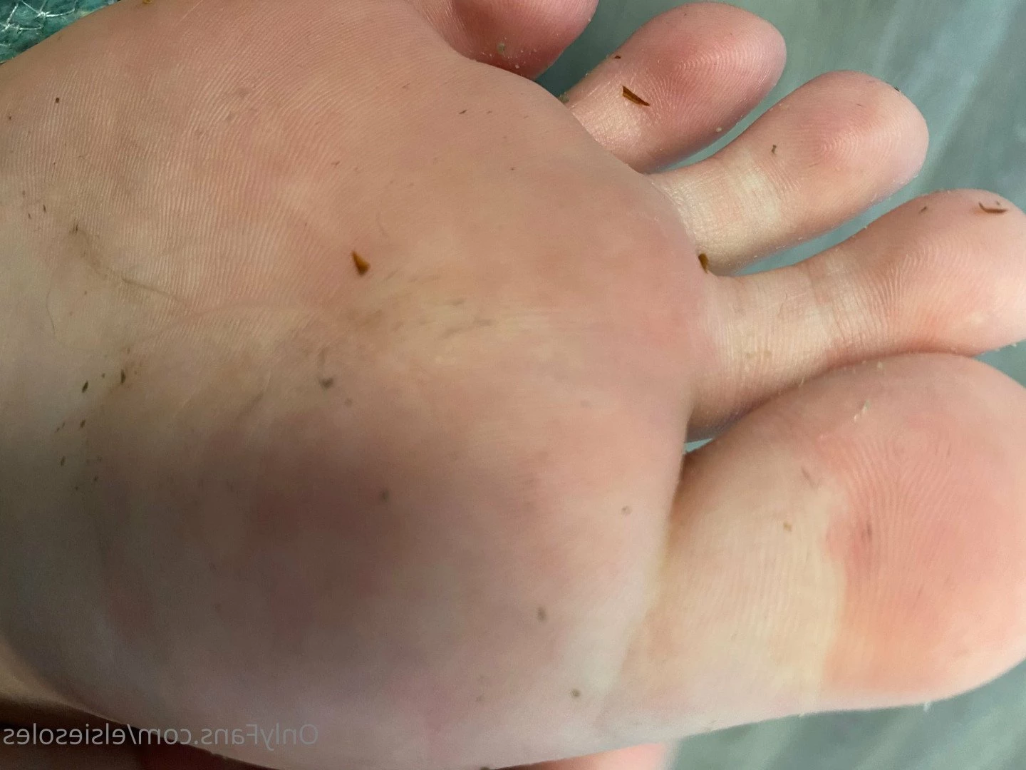Elsie Soles [ elsiesoles ] Onlyfans leaked photo 2307455 on Hotleaks.tv