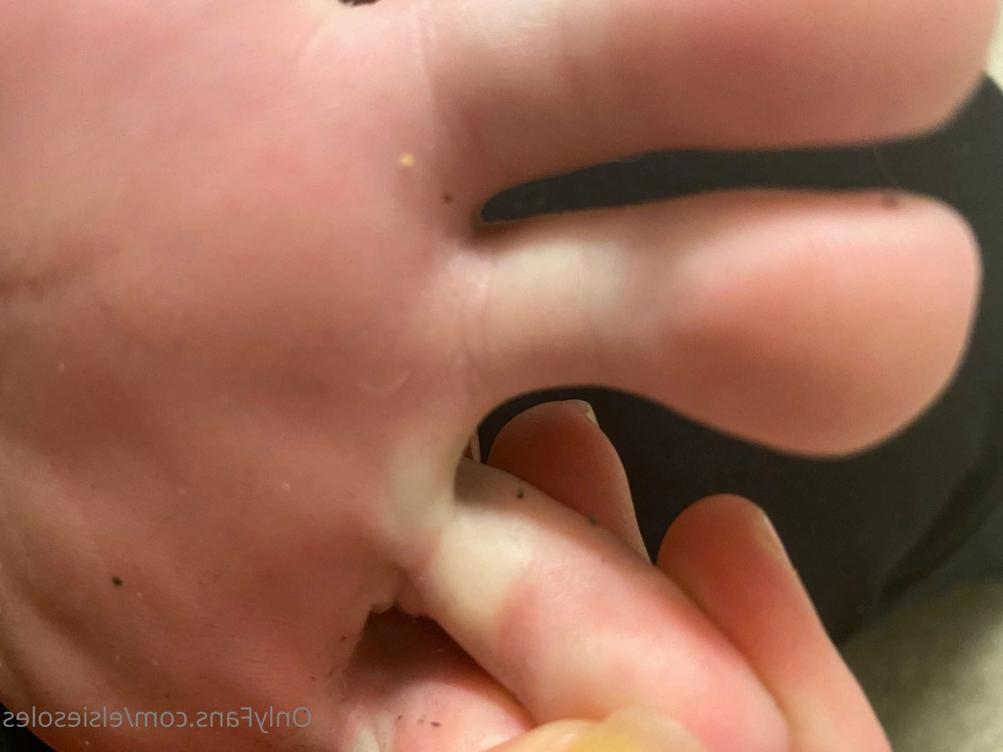 Elsie Soles [ elsiesoles ] Onlyfans leaked photo 2307471 on Hotleaks.tv