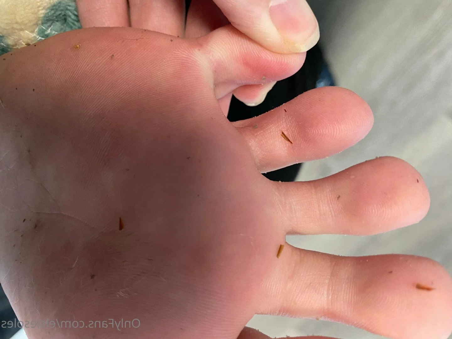Elsie Soles [ elsiesoles ] Onlyfans leaked photo 2308559 on Hotleaks.tv