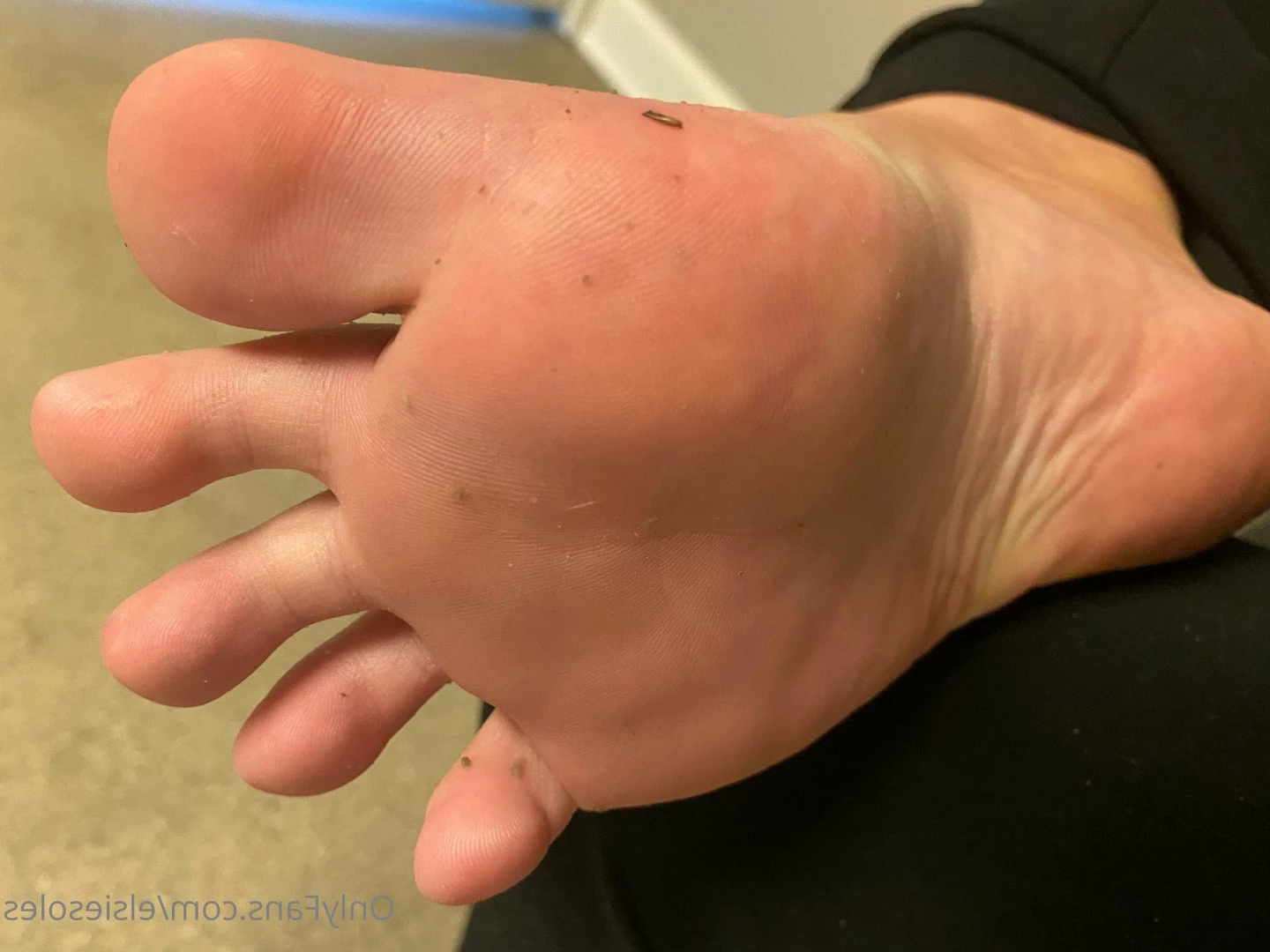 Elsie Soles [ elsiesoles ] Onlyfans leaked photo 2309168 on Hotleaks.tv