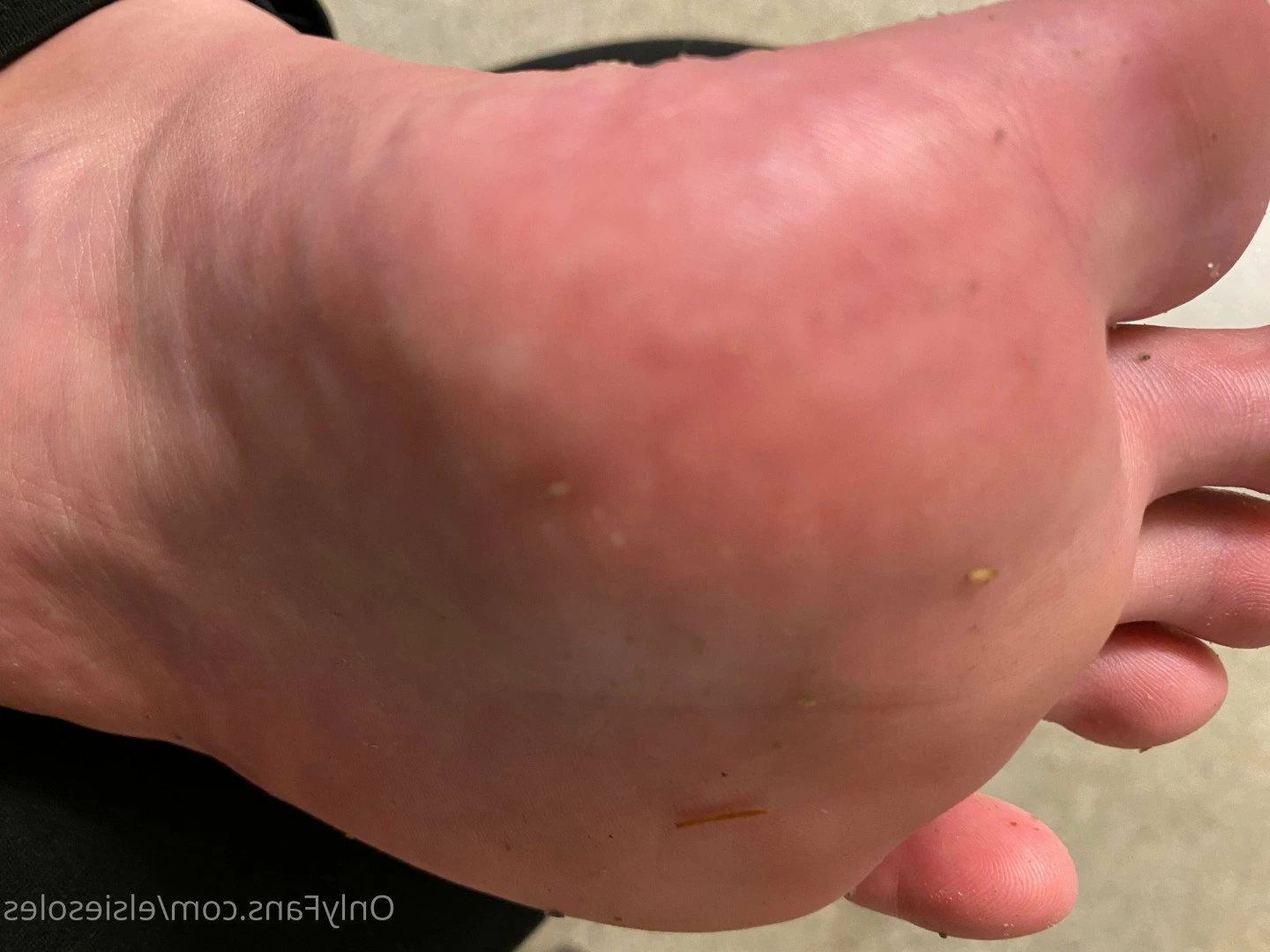 Elsie Soles [ elsiesoles ] Onlyfans leaked photo 2309255 on Hotleaks.tv