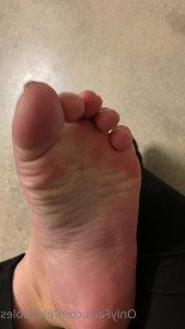 2555813