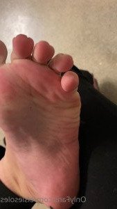 2555818