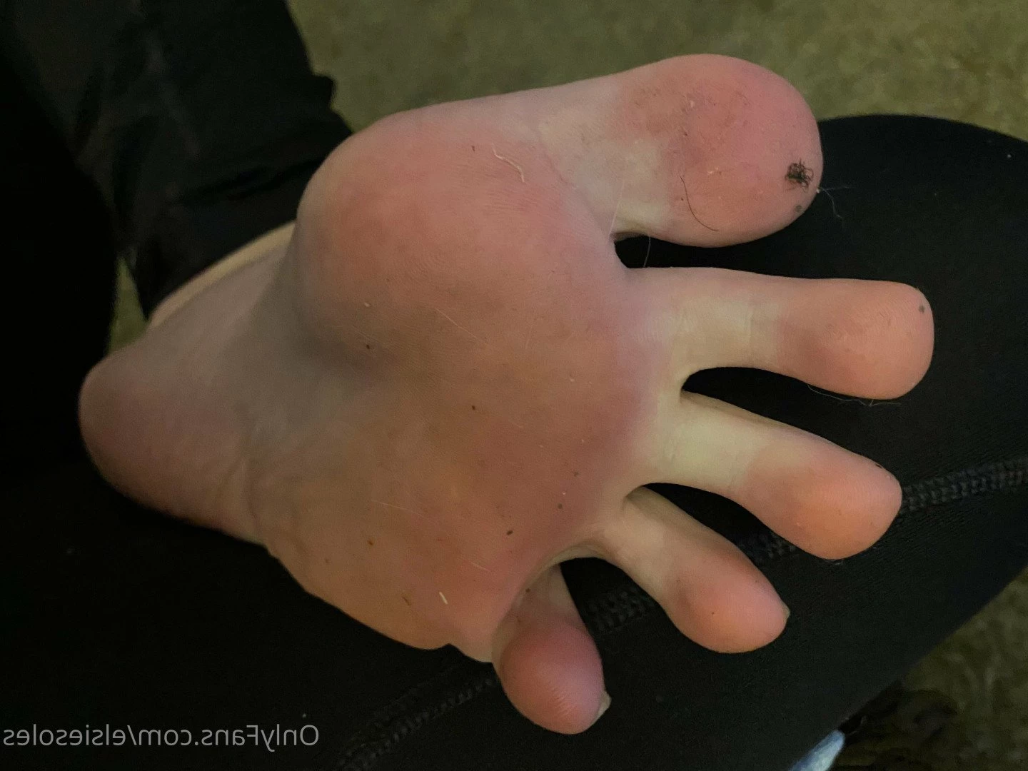 Elsie Soles [ elsiesoles ] Onlyfans leaked photo 3728582 on Hotleaks.tv
