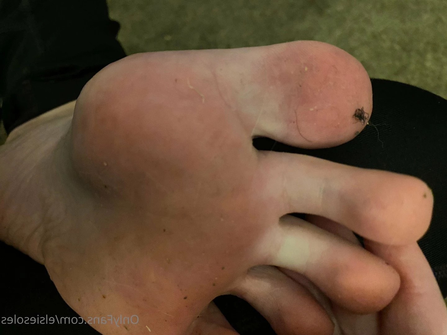 Elsie Soles [ elsiesoles ] Onlyfans leaked photo 3734377 on Hotleaks.tv
