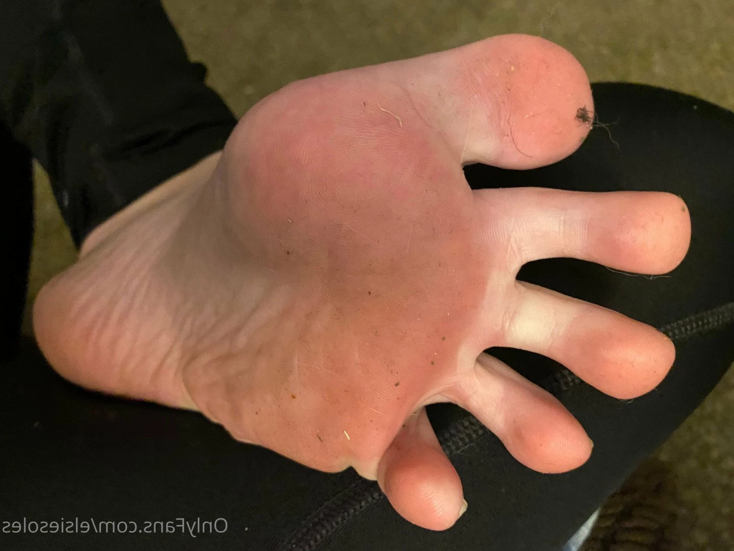 Elsie Soles [ elsiesoles ] Onlyfans leaked photo 3748227 on Hotleaks.tv