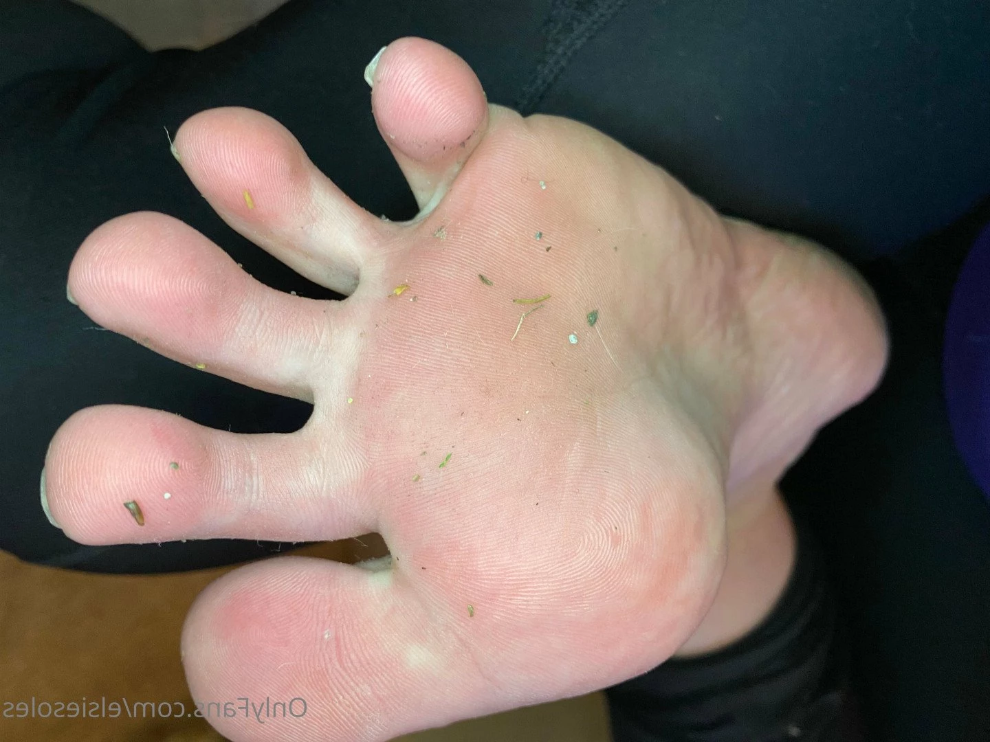 Elsie Soles [ elsiesoles ] Onlyfans leaked photo 3756959 on Hotleaks.tv