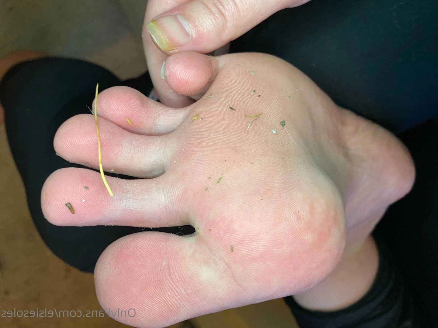 Elsie Soles [ elsiesoles ] Onlyfans leaked photo 3757262 on Hotleaks.tv