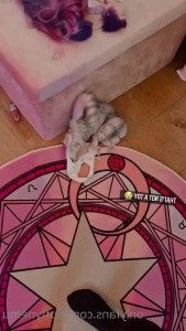 Fluffy Nemu [ fluffynemu ] Onlyfans leaked video 2555929 on Hotleaks.tv