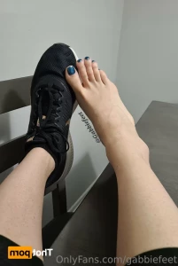15422561