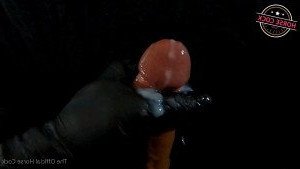 Horse Cock [ horse_cock ] Onlyfans leaked video 2556243 on Hotleaks.tv