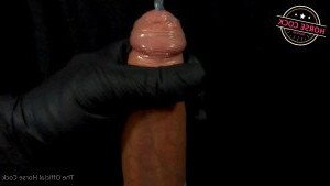 Horse Cock [ horse_cock ] Onlyfans leaked video 2556384 on Hotleaks.tv