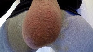Horse Cock [ horse_cock ] Onlyfans leaked video 2556385 on Hotleaks.tv