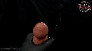 Horse Cock [ horse_cock ] Onlyfans leaked video 2556408 on Hotleaks.tv