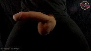 Horse Cock [ horse_cock ] Onlyfans leaked video 2556492 on Hotleaks.tv