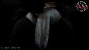 Horse Cock [ horse_cock ] Onlyfans leaked video 2556495 on Hotleaks.tv