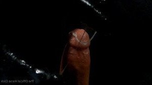 Horse Cock [ horse_cock ] Onlyfans leaked video 2556521 on Hotleaks.tv