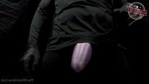 Horse Cock [ horse_cock ] Onlyfans leaked video 2556522 on Hotleaks.tv
