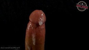 Horse Cock [ horse_cock ] Onlyfans leaked video 2556585 on Hotleaks.tv