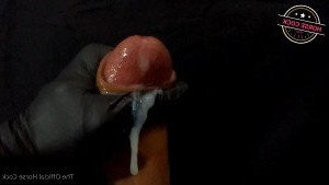 Horse Cock [ horse_cock ] Onlyfans leaked video 2556638 on Hotleaks.tv