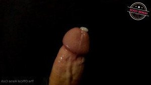 Horse Cock [ horse_cock ] Onlyfans leaked video 2556648 on Hotleaks.tv