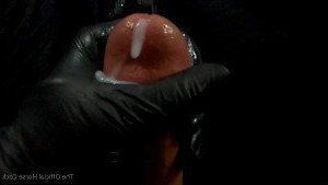 Horse Cock [ horse_cock ] Onlyfans leaked video 2556777 on Hotleaks.tv