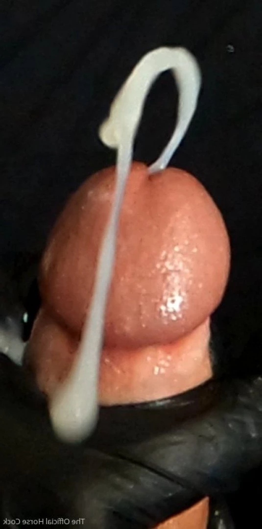 Horse Cock [ horse_cock ] Onlyfans leaked photo 4411928 on Hotleaks.tv