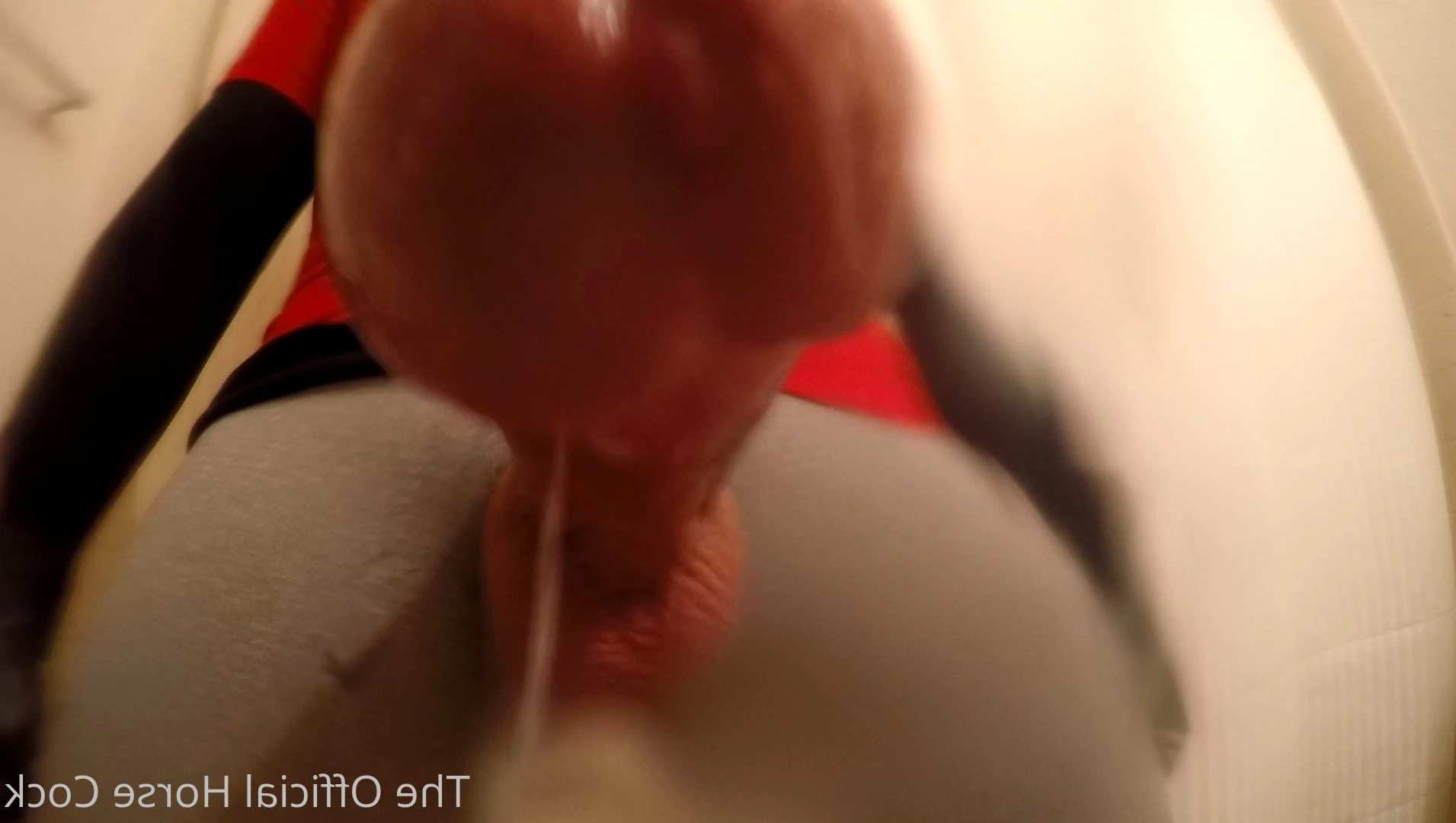 Horse Cock [ horse_cock ] Onlyfans leaked photo 4413911 on Hotleaks.tv