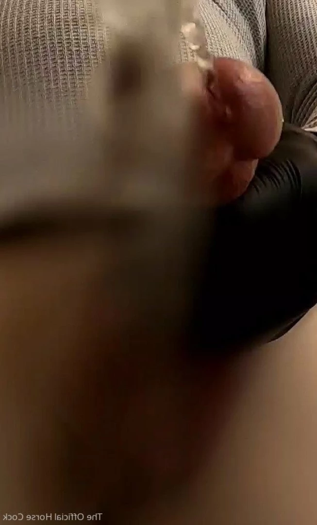 Horse Cock [ horse_cock ] Onlyfans leaked photo 4420069 on Hotleaks.tv