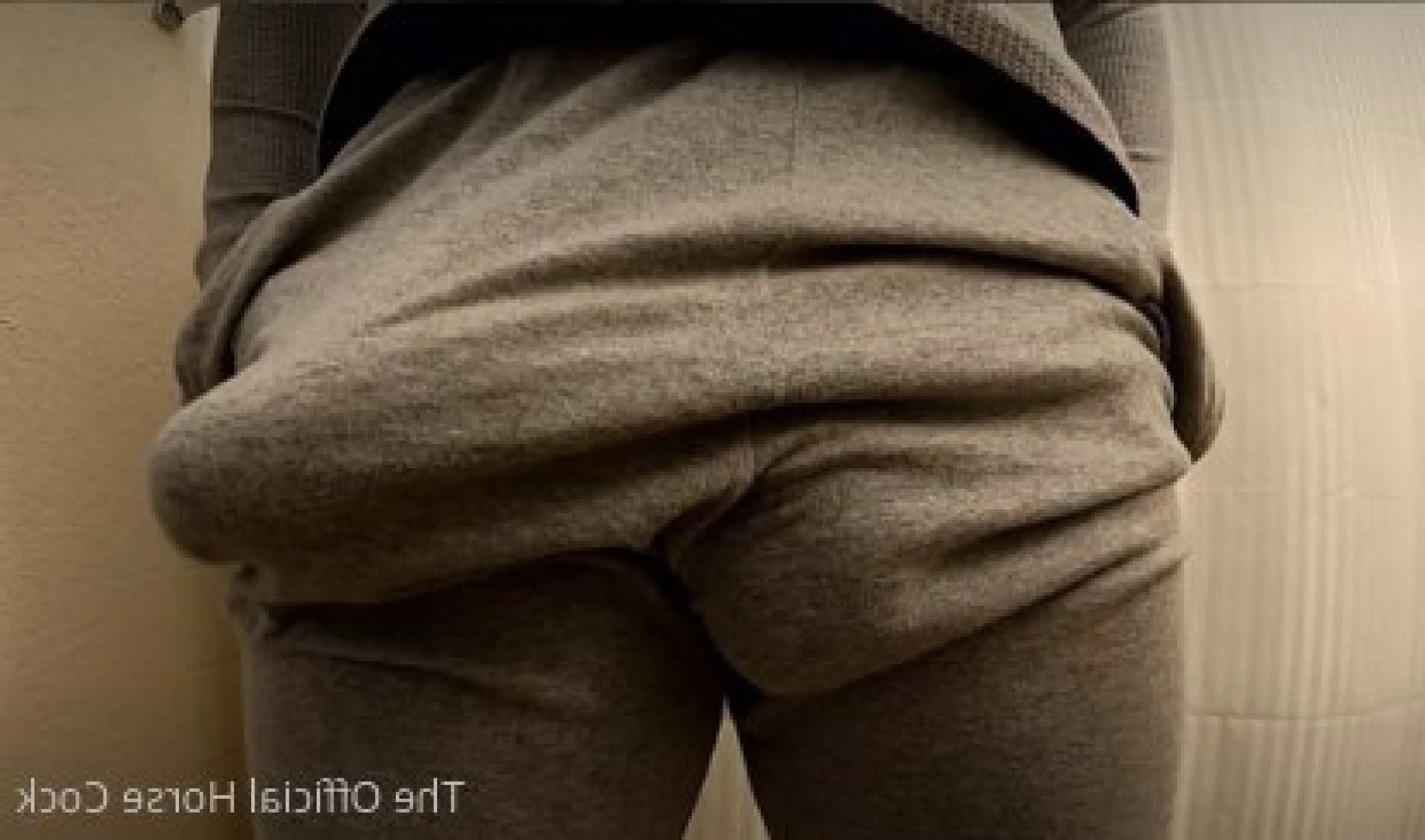 Horse Cock [ horse_cock ] Onlyfans leaked photo 4421117 on Hotleaks.tv