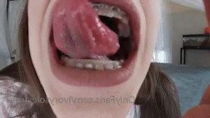 2558327