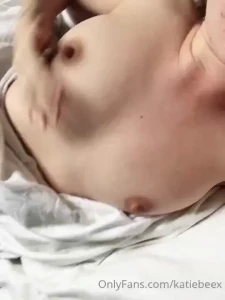 18341305