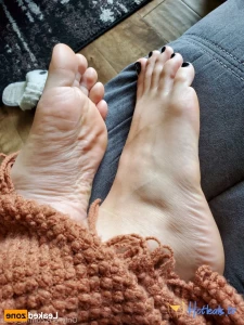 15486790