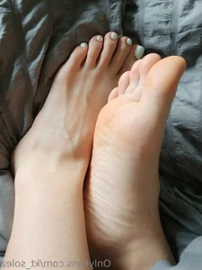 15505810