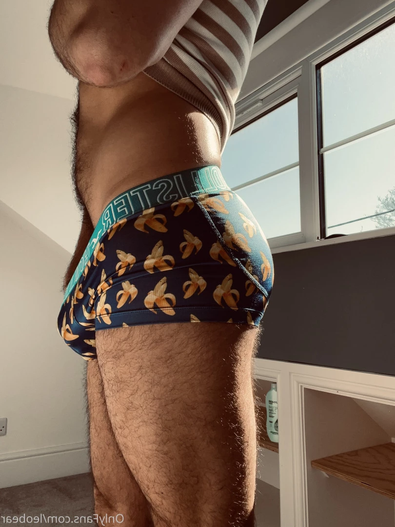 Leo &amp; Cooper [ leobear ] Onlyfans leaked photo 6587172 on Hotleaks.tv