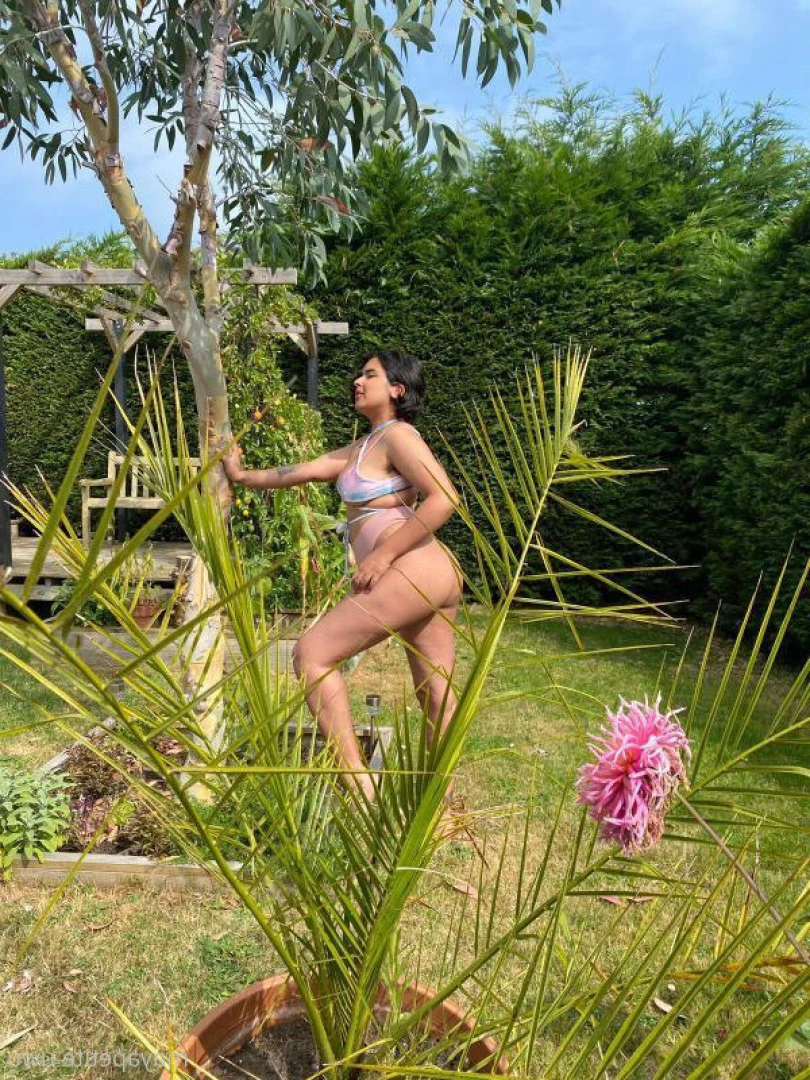 maya - top 3% 💛 [ mayapetite ] Onlyfans leaked photo 6582033 on Hotleaks.tv