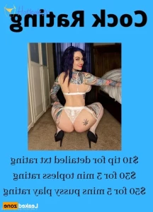 15685520
