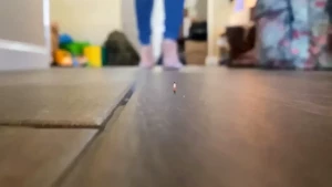 18338449
