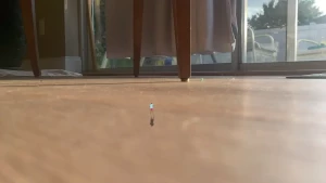 worldunseenfilms Onlyfans leaked video 2119535 on Hotleaks.tv
