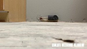 worldunseenfilms Onlyfans leaked video 2805687 on Hotleaks.tv