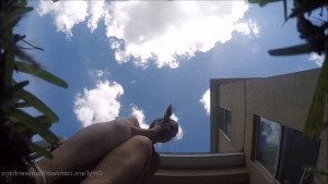 worldunseenfilms Onlyfans leaked video 2806192 on Hotleaks.tv