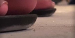 worldunseenfilms Onlyfans leaked video 2806226 on Hotleaks.tv